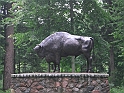 pomnik zubra